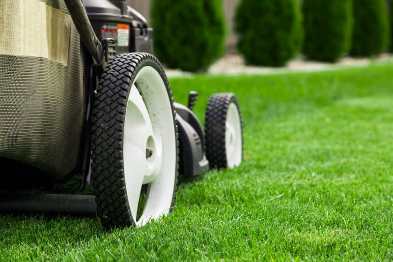 3 Reasons to Invest in Professional Lawn Maintenance