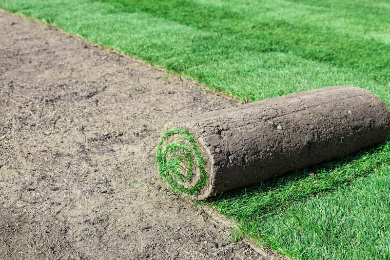 Knowing Why Sod Installation is the Right Choice for a Healthier Exterior